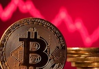 Nhà đầu tư dài hạn vẫn tin vào Bitcoin