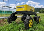 Công nghệ hứa hẹn thay đổi bộ mặt nông nghiệp Nhật Bản