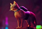 The game turns players into attractive cats