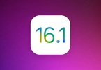 iOS 16.1 Beta 1 cập nhật những gì?